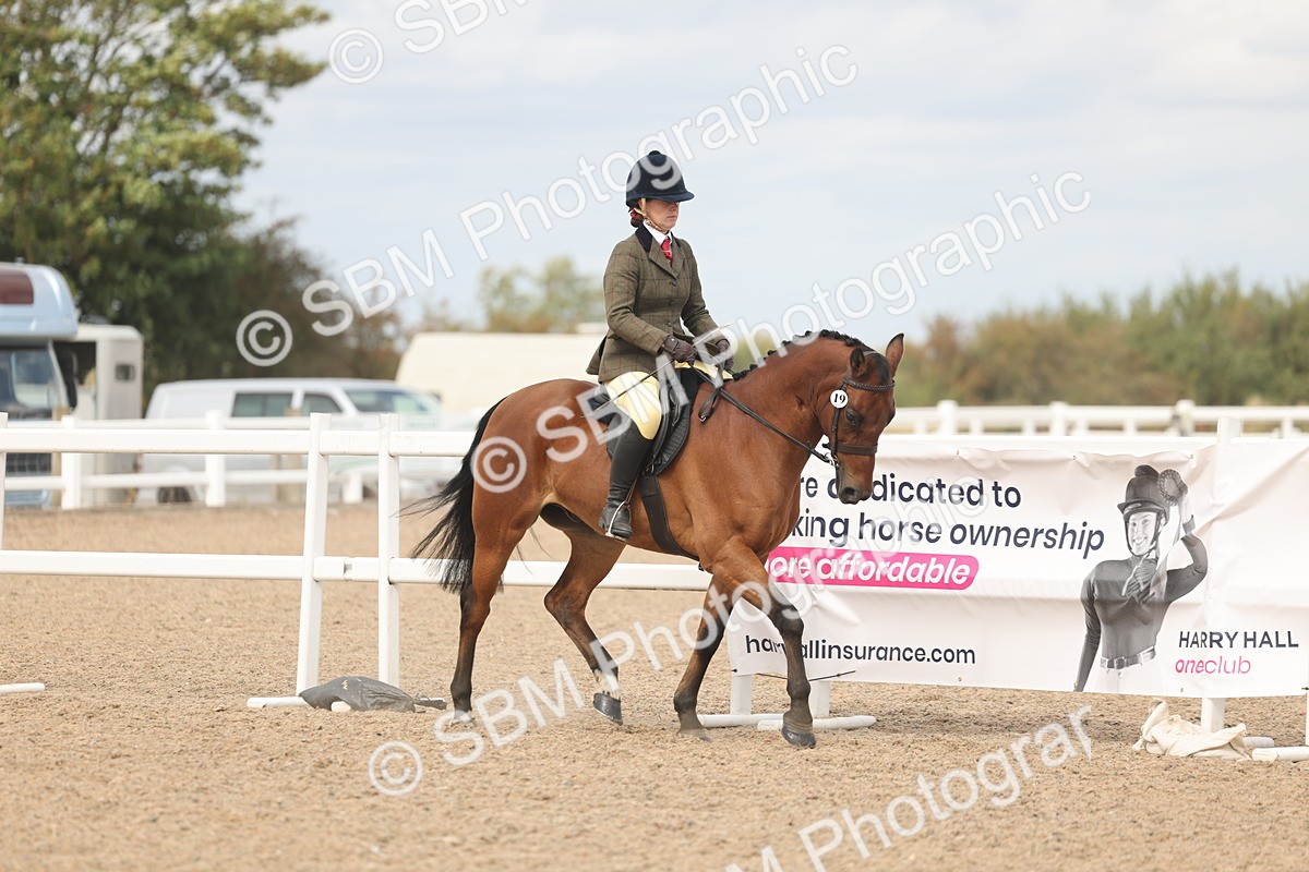 SBM_15953 - Class 311 - Ridden Show pony-Show hunter Pony