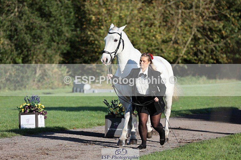 241027-090206-14976 - 461-Olivia.Radcliffe-CHALKY'S.DREAM