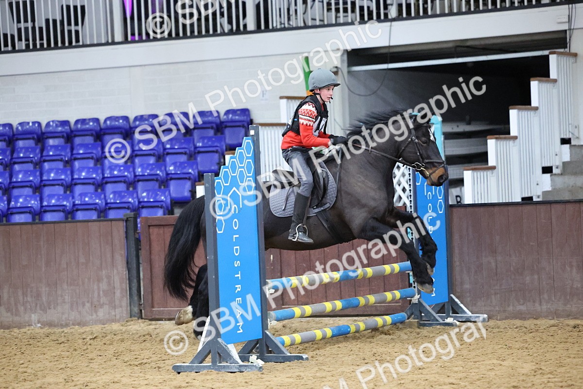 SBM_001175 - Class 3 - Christmas Tree Stakes - 60cm