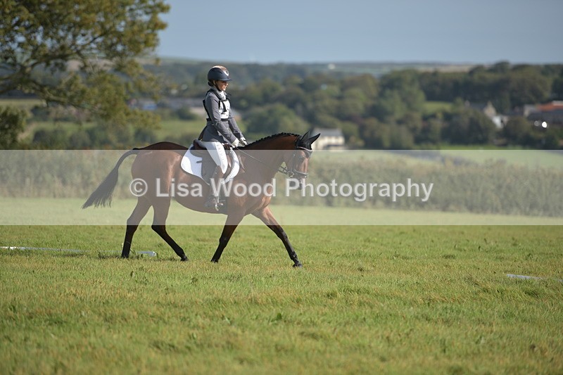 RAY_7544 - Class 2B: Trekenning Open: Dressage