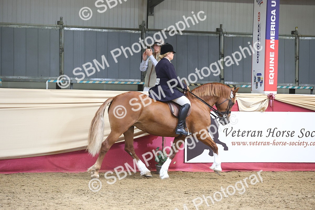 SBM_23714 - class 906 - Supreme Final - Ridden Pre Vet