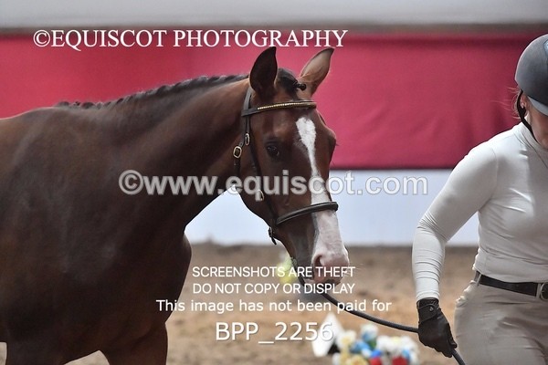 BPP_2256 - AFTERNOON 12.30 - 3.30PM