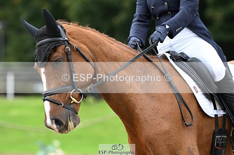 231019-141652-04122 - 051-VITAL.DK.Z-Isny.O'Donnell-DR