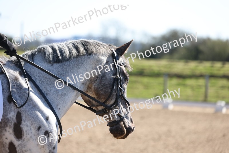 20260318-0487 - Class 5 - Novice 2