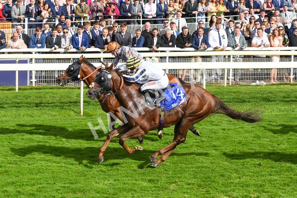 260823-Race 5-Summerghand-Albasheer-0778 - Race 5 Sky Bet Constantine Handicap