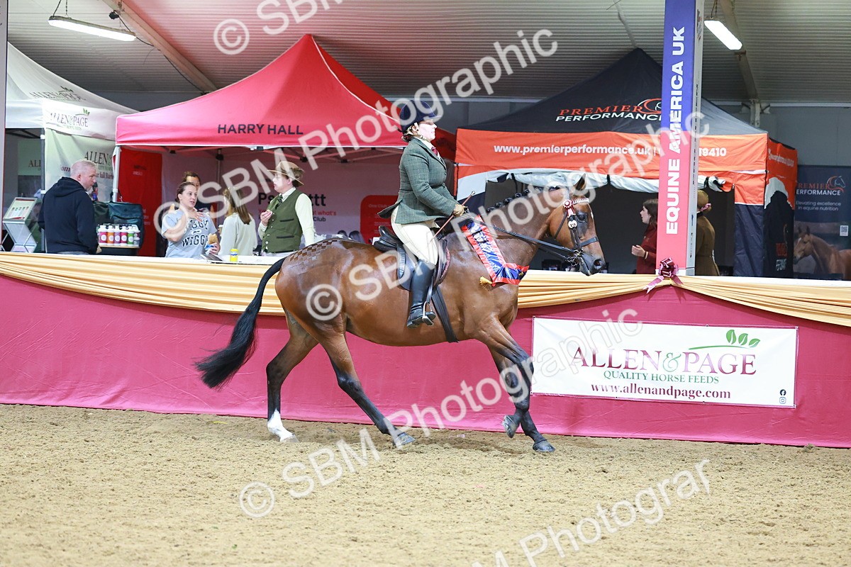 SBM_06414 - Regional Ridden Championship