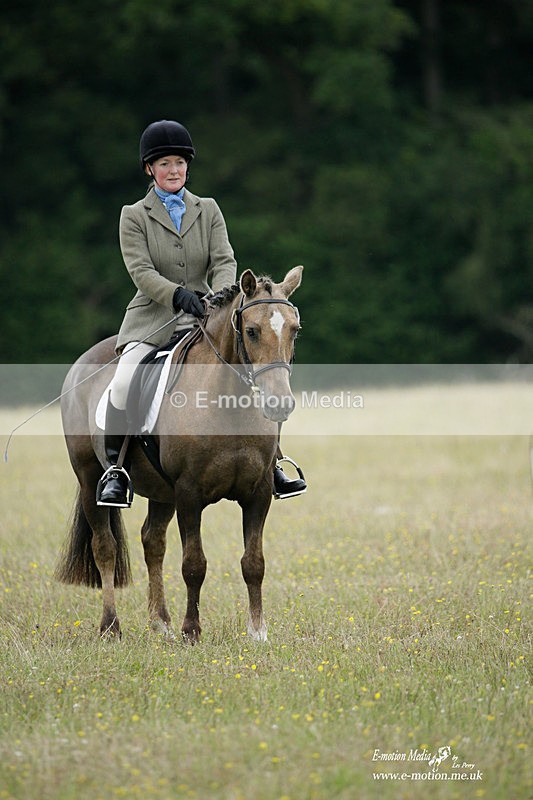 BVRC 030721 357 - Bourne Valley Riding Club Dressage 03/07/21