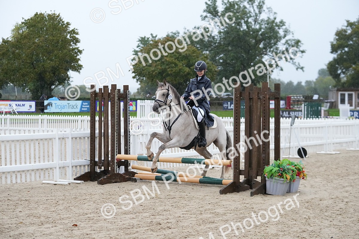 SBM_36072 - J5 - Junior Pony 50cm Championship