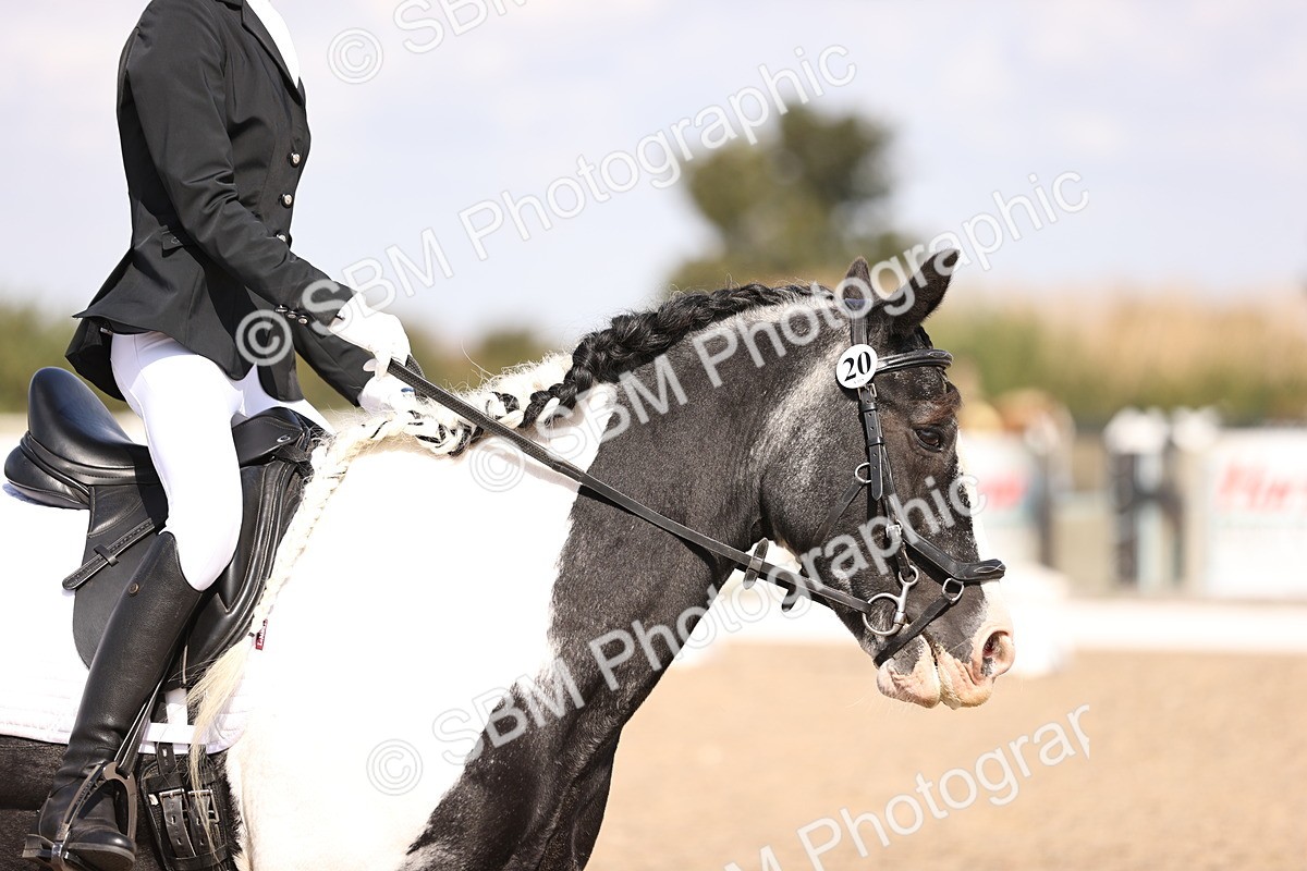 SBM_03621 - CLass 35 Intro 3