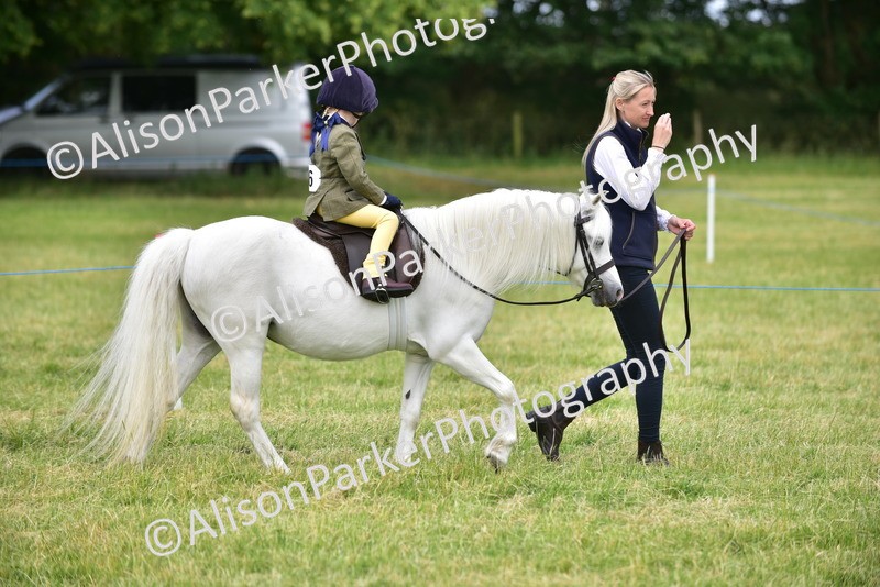 20260614-3635 - Class 15 - Prettiest Mare