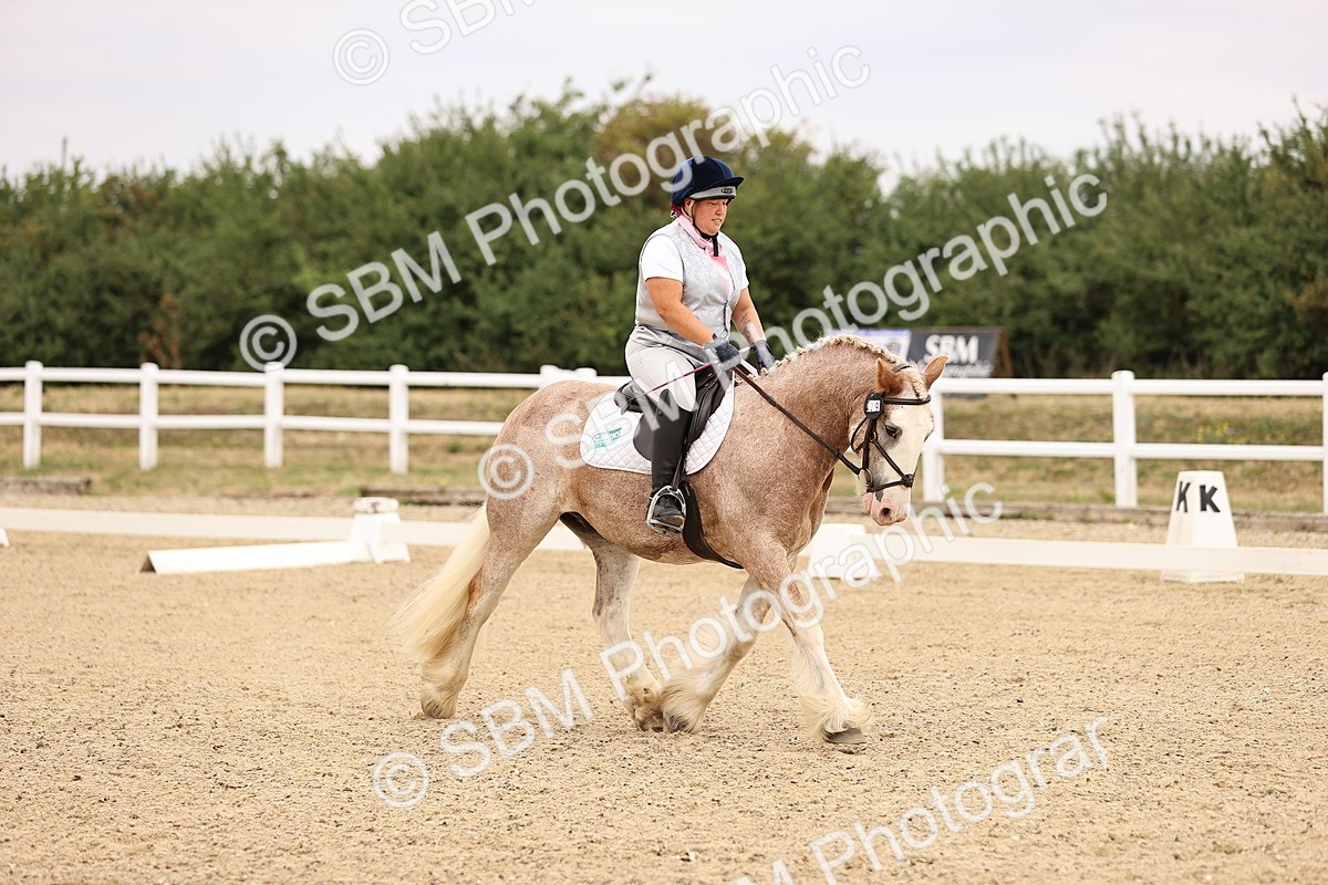 SBM_006416 - Intro 3 - 9.46-10.46