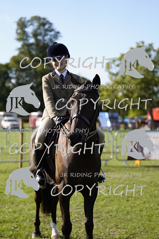 _DSC9552 - Class 8 & 17 Ridden Hunter & Ridden Hunter Pony