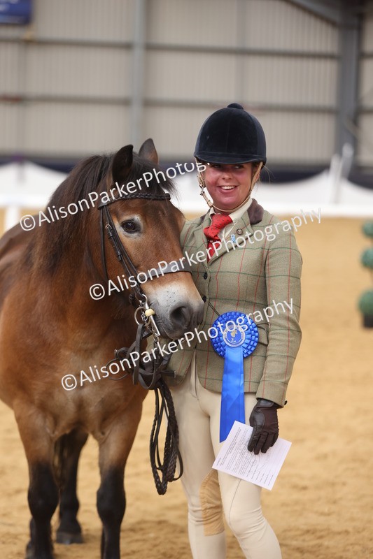 20260913-1737 - Class 115 - Gelding 4years and over