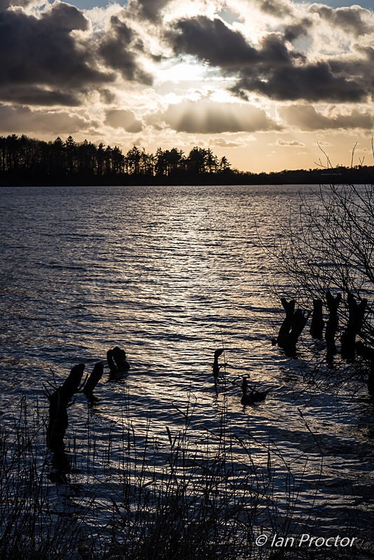 Dramatic Skies Over Stoneyford Reservoir - County Antrim