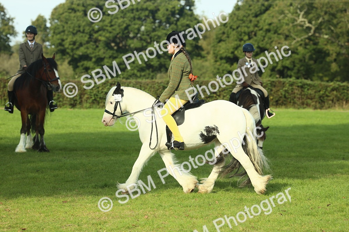 SBM_59884 - S38 - Starters Ridden Showing