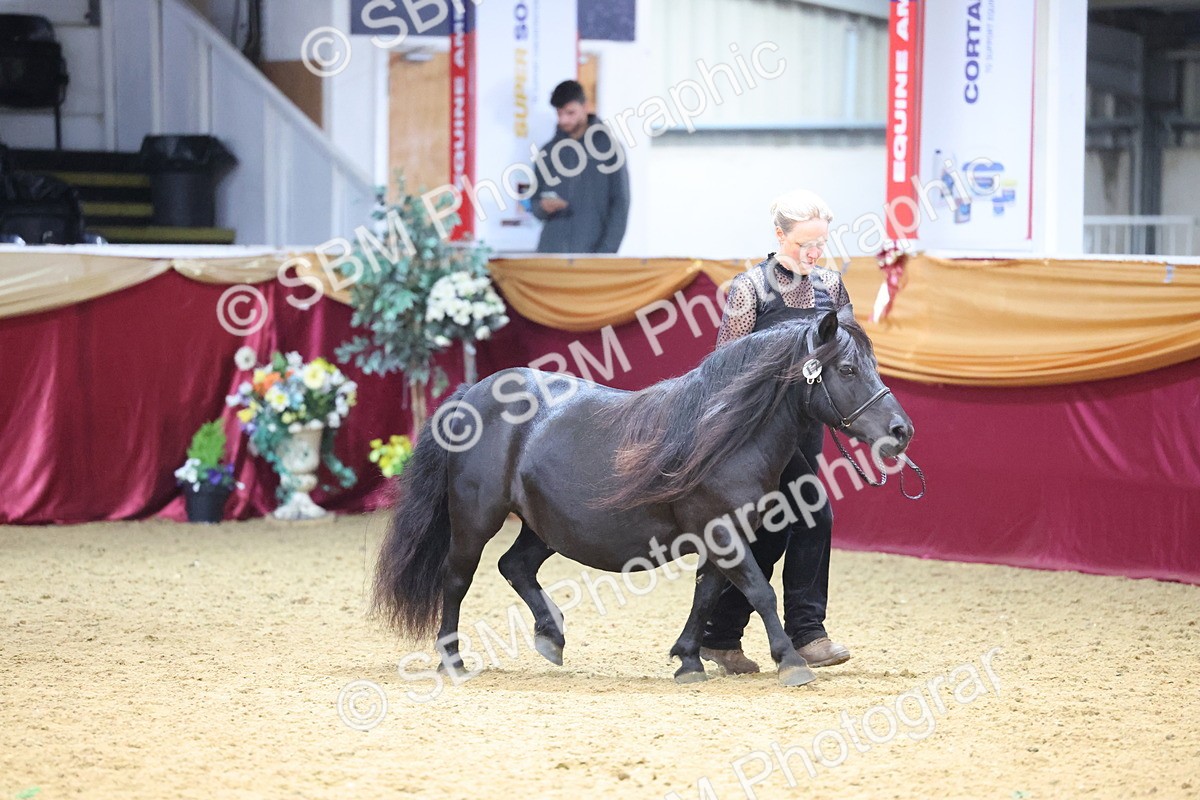 SBM_22783 - Class 903 - Supreme Final - IH Pre Vet