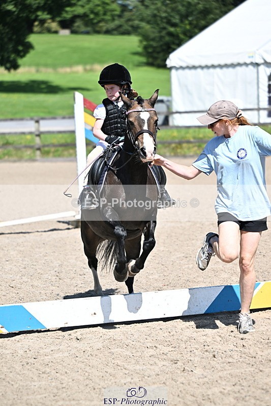 240729B-113927-02469 - Showjumping Competition