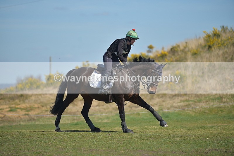 NGP_8091 - XC Time 13:29 to 13:34