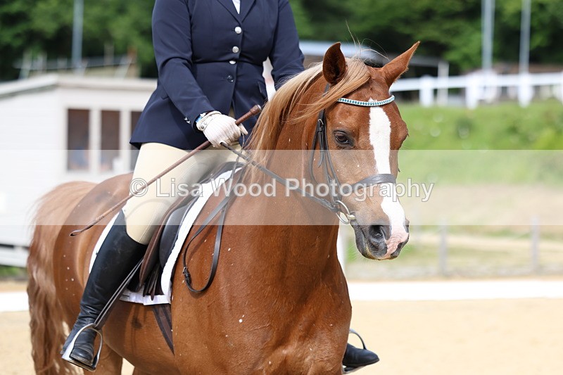 3E7A1160 - Class 1: Intro 2 2024 Section A