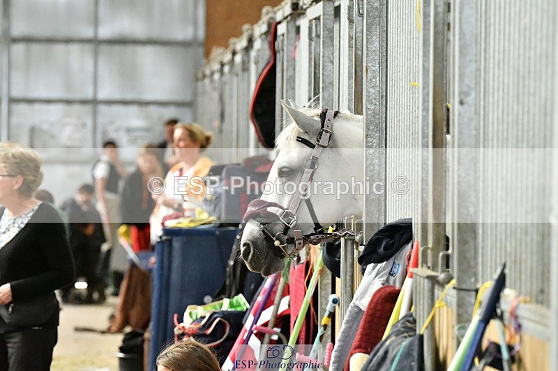 230804A-094940-01517 - Stable Shots