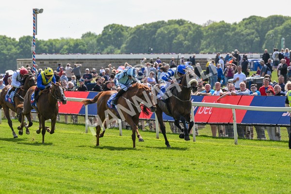 140525-Race 1-Almoshher-1569 - Race 1 2.10pm Sky Bet Race To The Ebor Jorvik Handicap