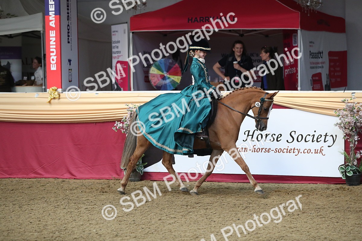 SBM_11205 - Class 104 Ridden Costume - Astride Junior