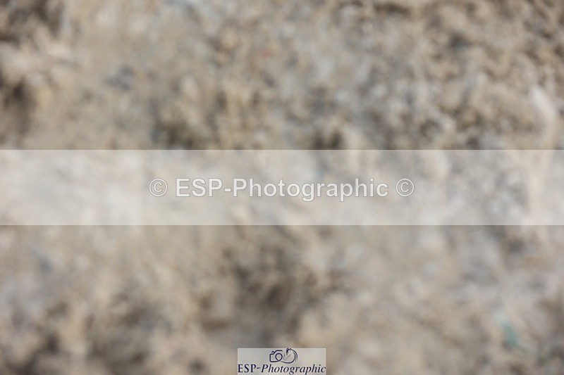 230617-192438-07037 - Cls 10 Pony ShowJumper of the Year