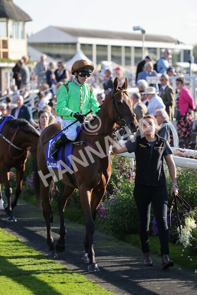 yr08102021r3-13 - Race 3 3.15pm Download The Casumo App Today Handicap