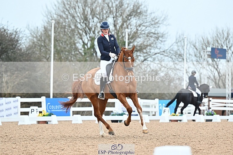 250214-094342-00669 - 161-Maddy.Frewin-Zevrado.Bliss