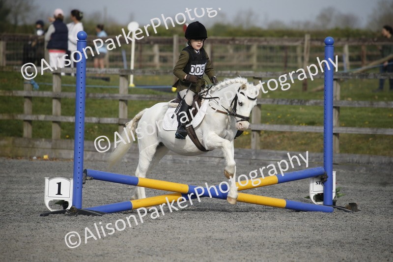 20250412-0040 - Show Jumping