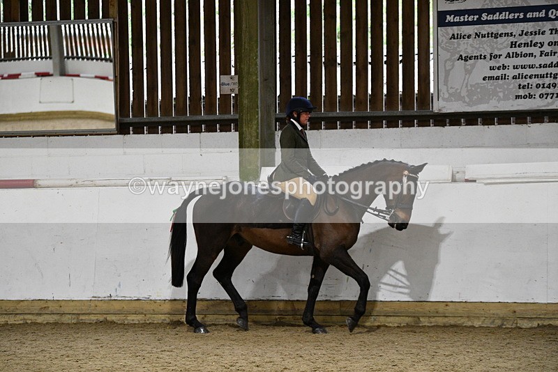 WJ5_8762 - Class 15 Ridden Show Horse