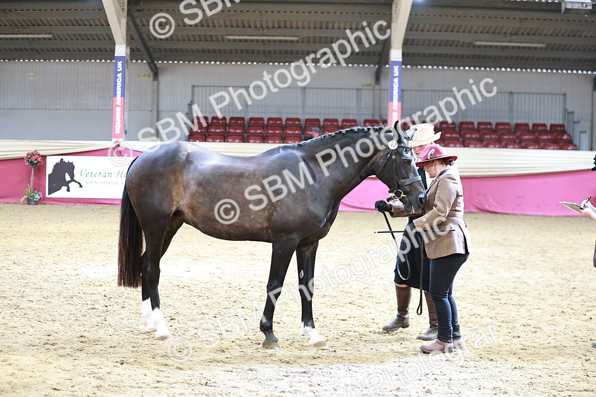 SBM_04803 - Class 7R - Regional IH Diamond