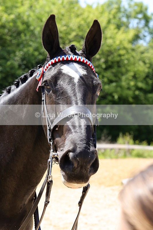 1X9A1913 - Class 12: Ridden Riding Horse/Hack