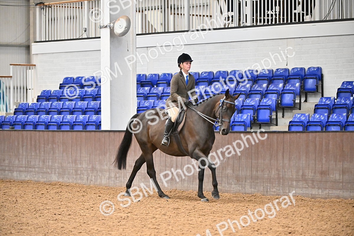 SBM_002344 - Class 22 - BSHA Ridden Hack & Riding Horse