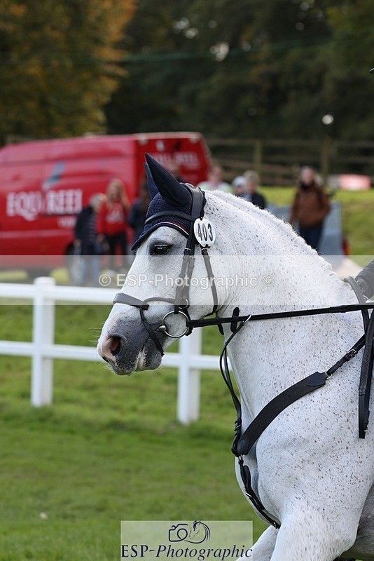 231022-131533-27600 - 403-KILLEA.LARK.GIRL-Joanna.Jones-TrotUp+SJ
