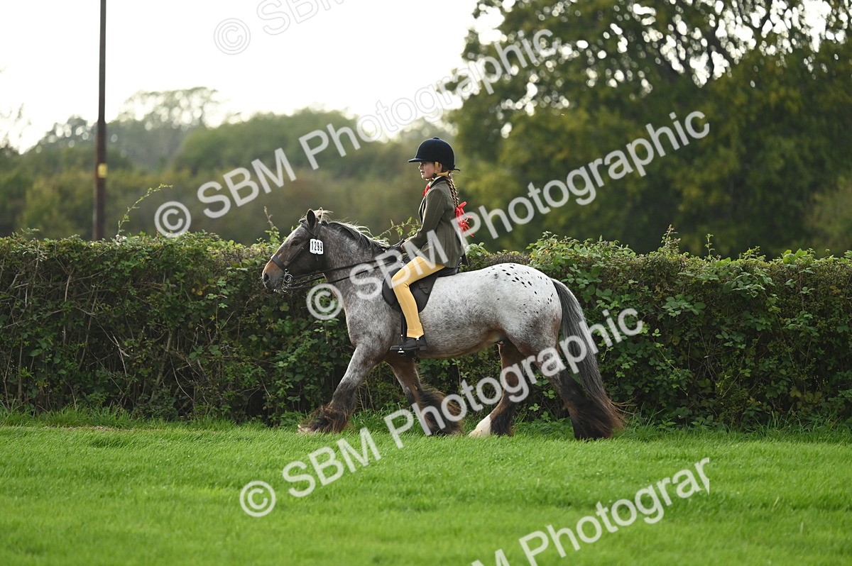 SBM_26621 - S7 - Novice & Newcomer Ridden Pony