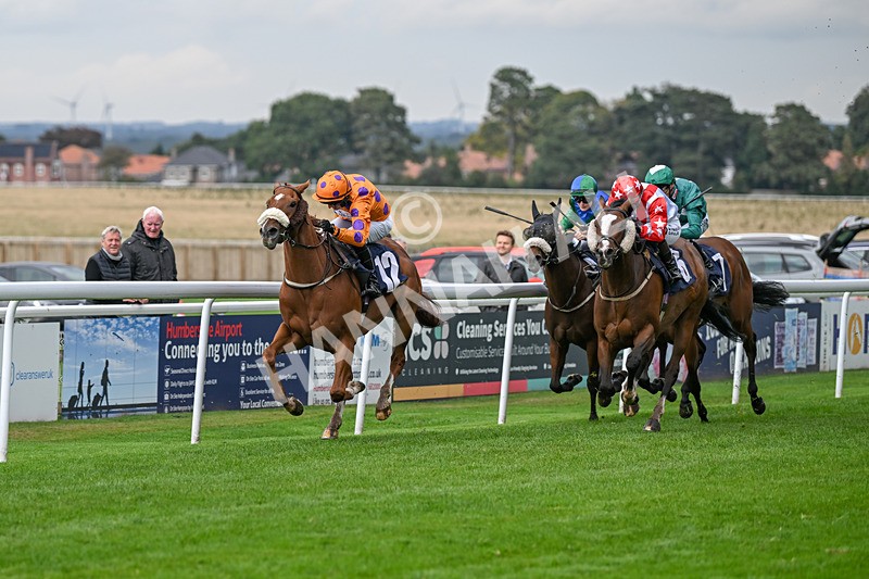 240924-Race 5-Ifonlytheycudtalk-6470 - Race 5