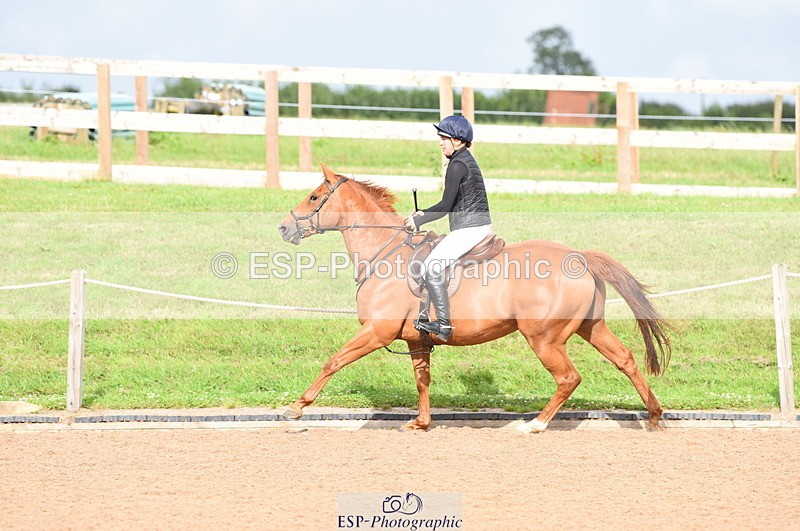 230711A-174948-00342 - 80cm