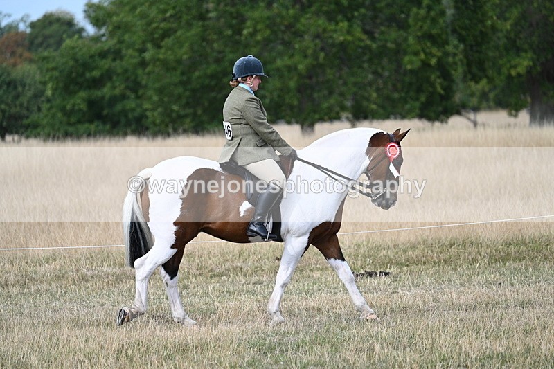 WJ7_7565 - Ridden Championship
