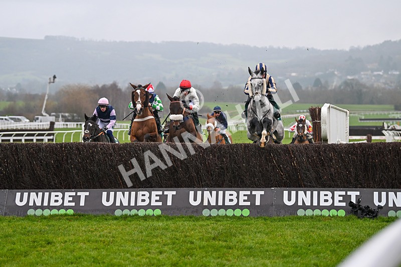 131224-Race 4-King Turgeon-9049 - Race 4