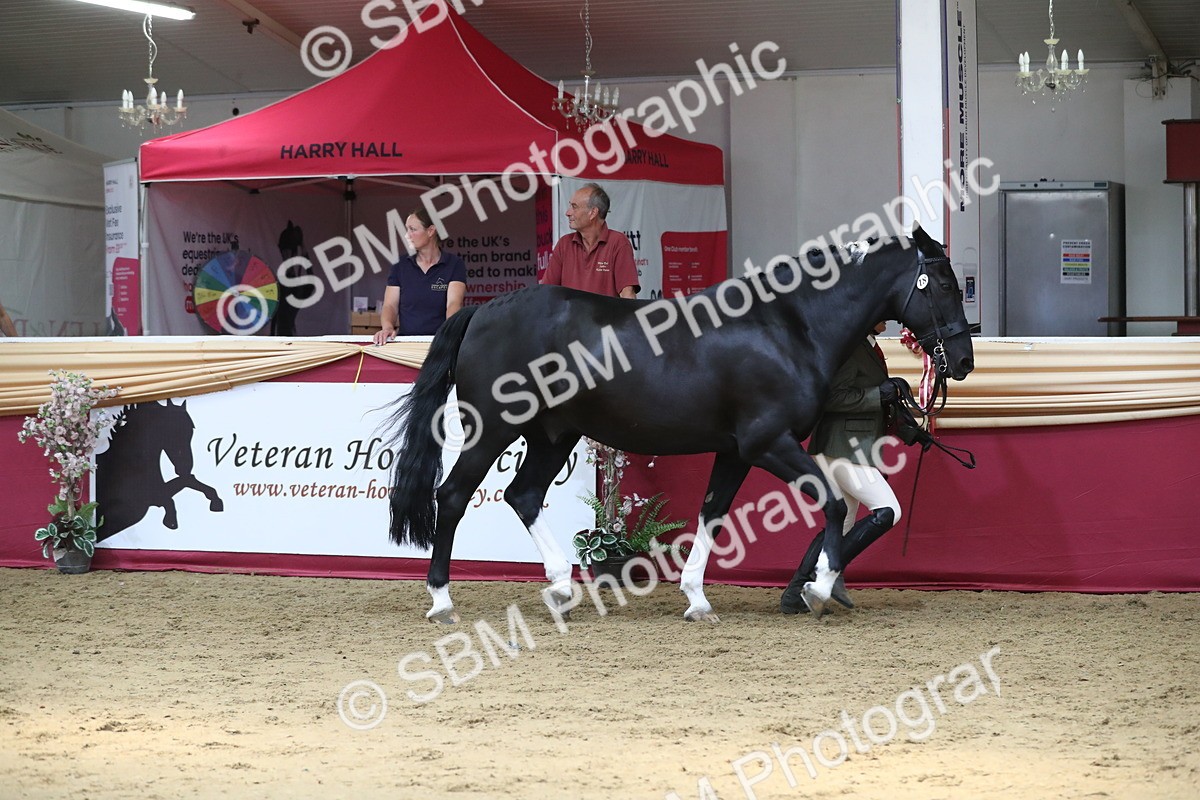 SBM_06623 - Regional IH Champ