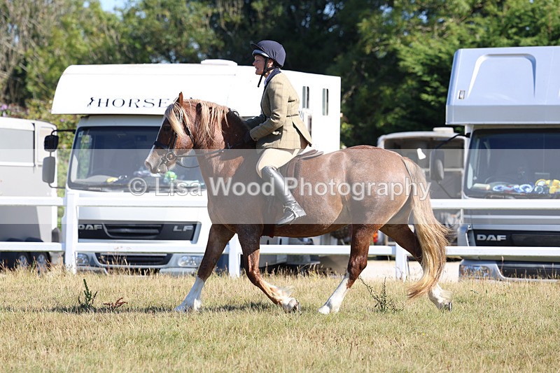 3E7A5441 - Class 3: Working Hunter 70cm