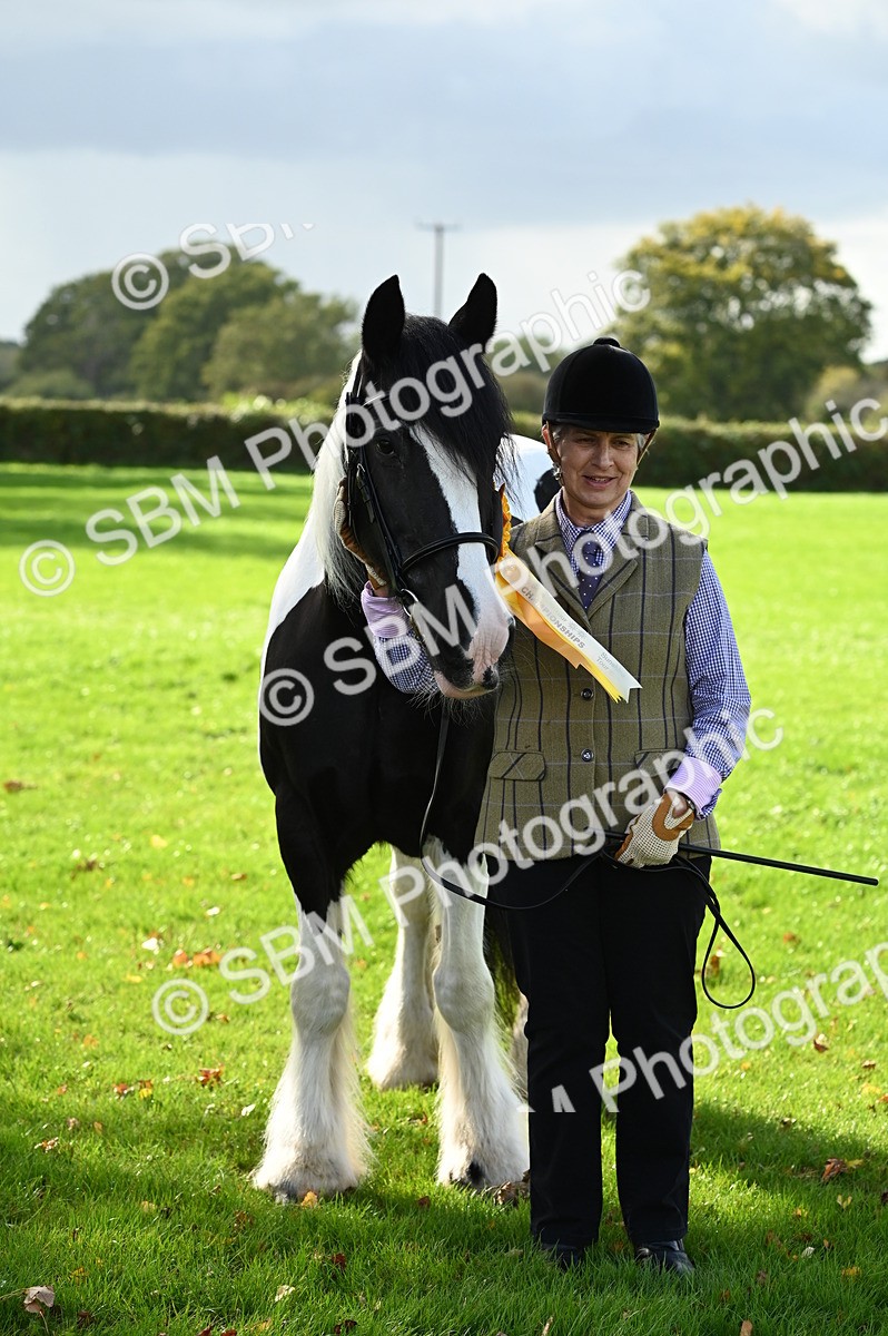 SBM_25070 - S5 - Novice & Newcomer In hand