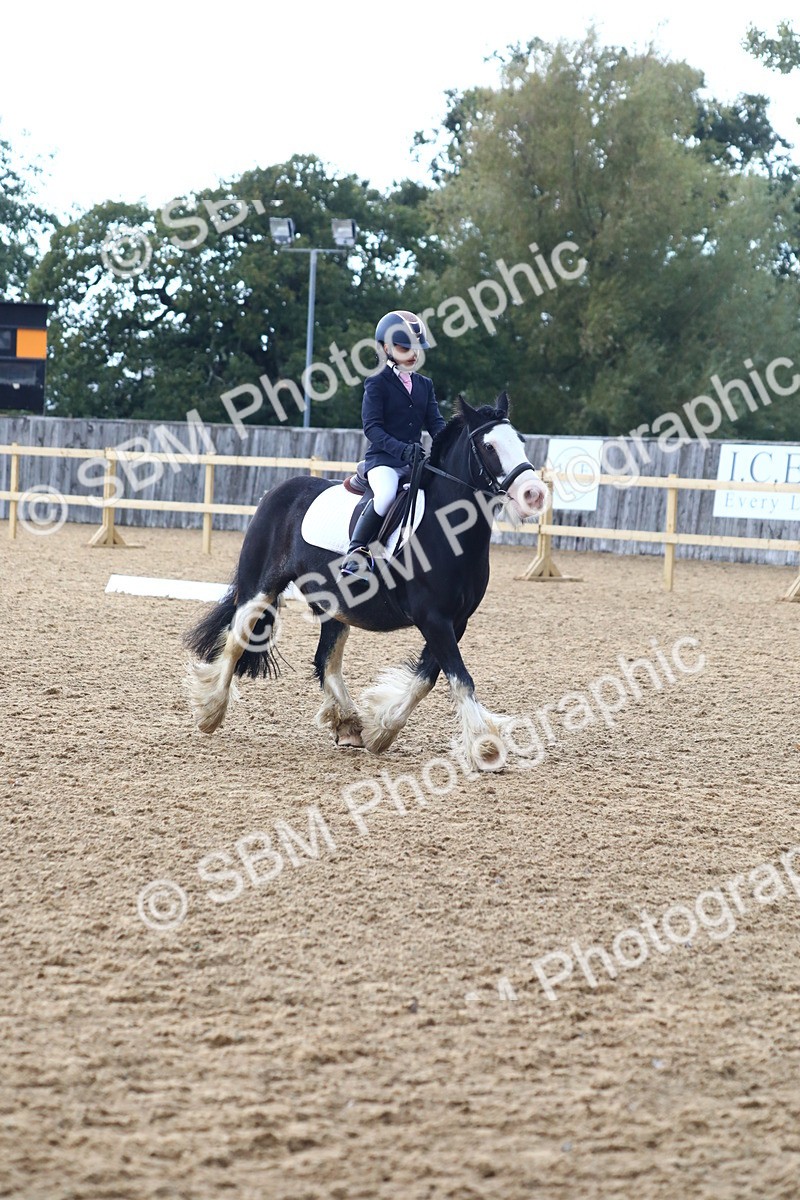 SBM_42594 - D21 - Junior Championship Intro 1