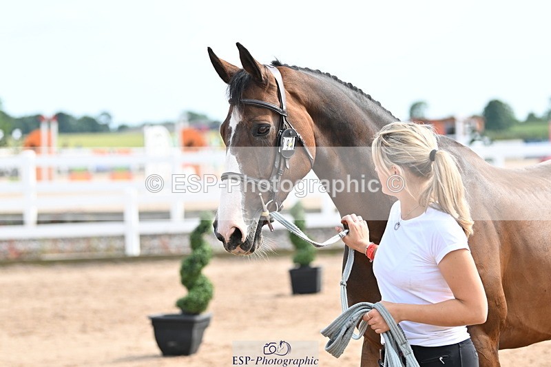 240717A-162024-03425 - Trot Up 4pm to 5pm