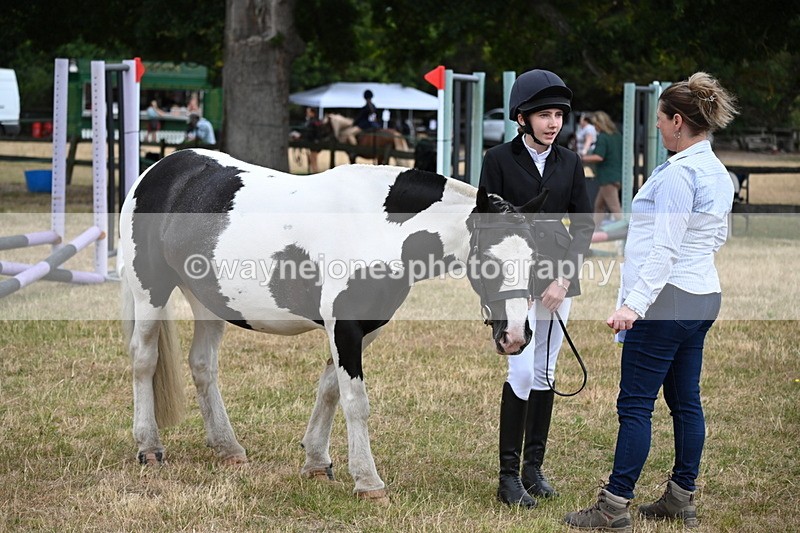 WJ6_4207 - Class 10 Coloured In-hand