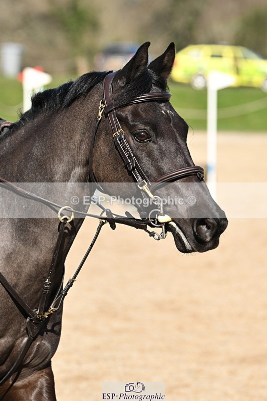 250302A-114810-01735 - Cls 02 80-85cm