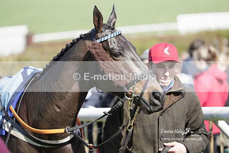 PtP 100423 464 - Old Berkshire Point-to-Point Lockinge 10/04/23