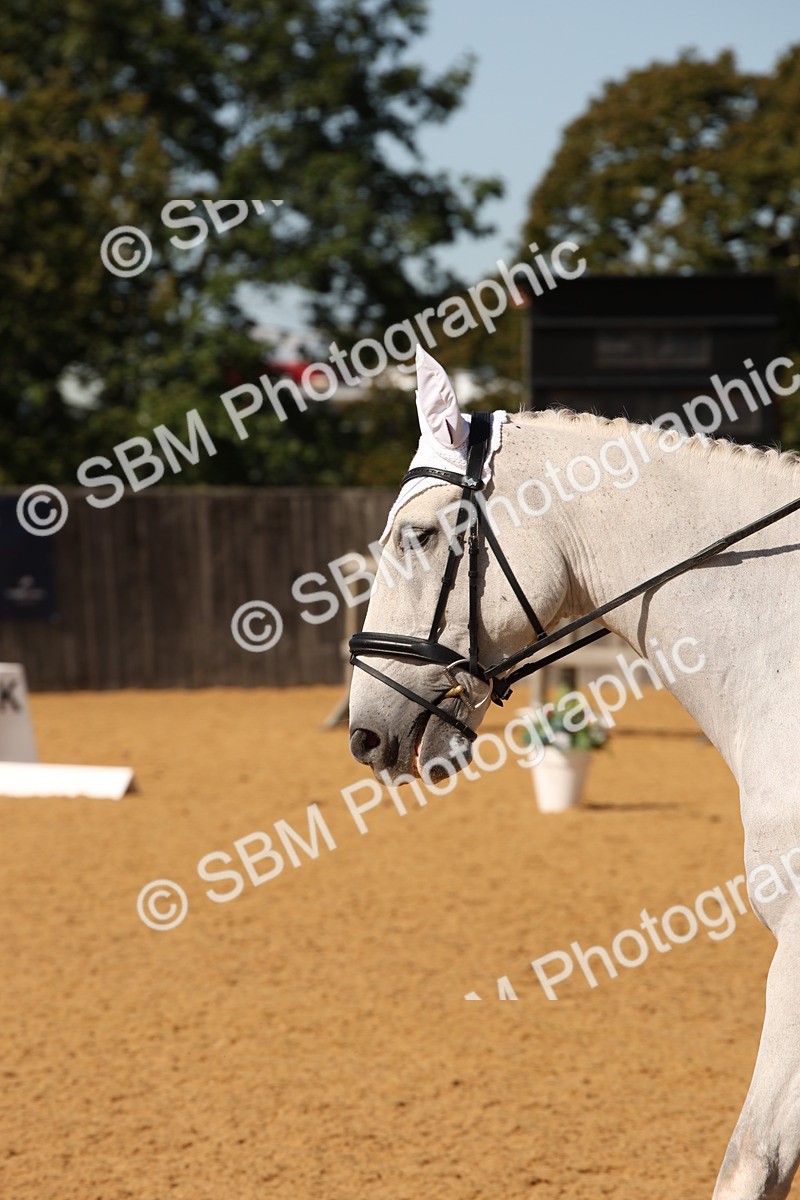 SBM_24138 - D5 - Small Tour Championship - Intro C
