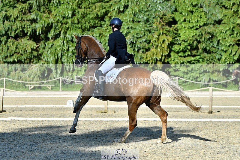 230623-181617-03203 - Cls 11 FEI PSG